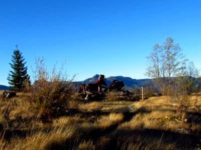 Coldwater Lake Trail at Mt. St. Helens