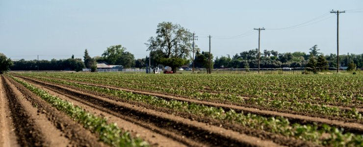 20150415-NRCS-LSC-0341