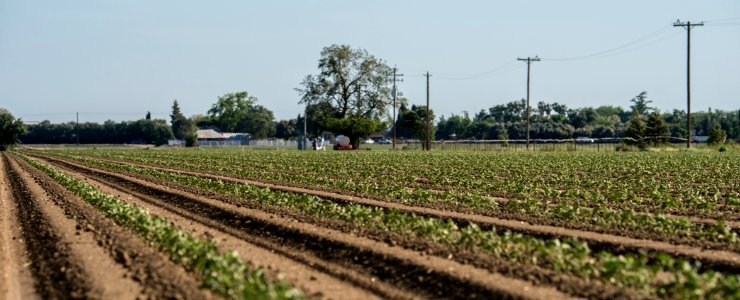 20150415-NRCS-LSC-0341 photo