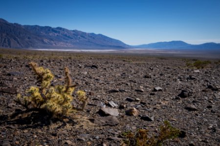 Panamint Valley photo