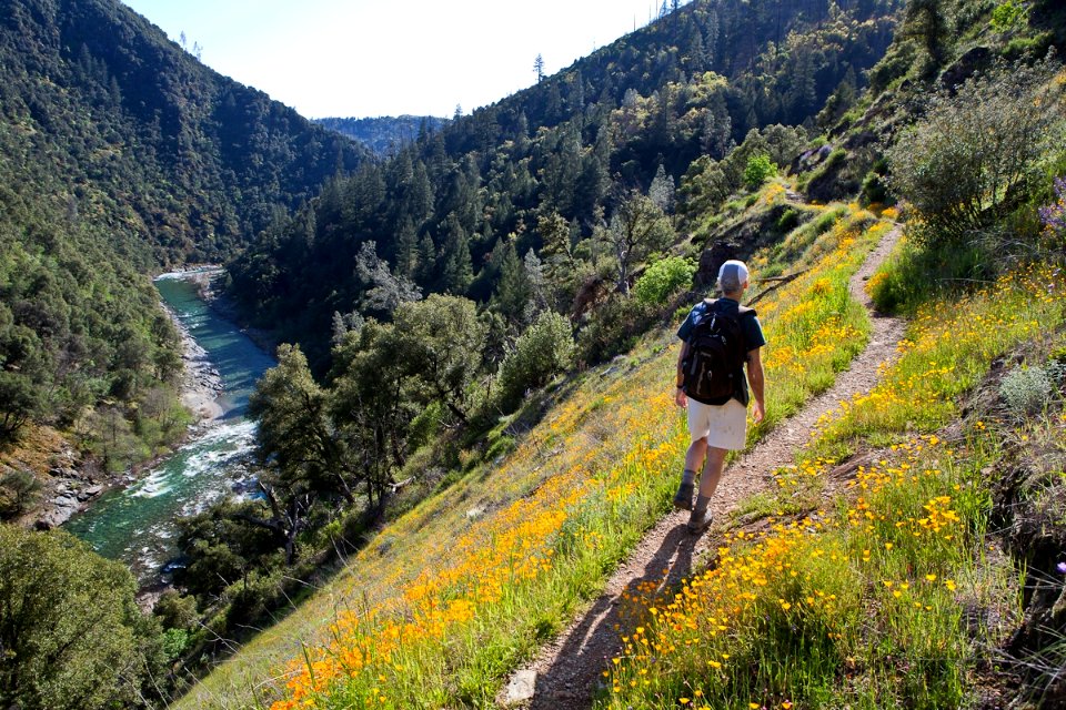 Admiring Wildflowers along Stevens Trail