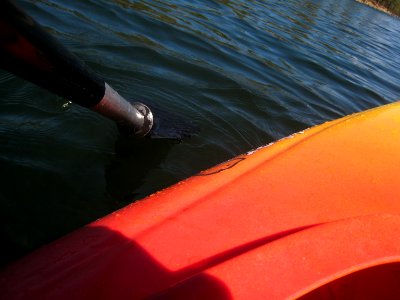Row, Row, Row My Kayak