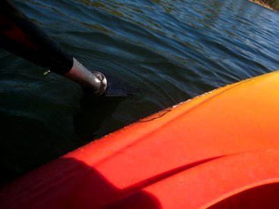 Row, Row, Row My Kayak photo