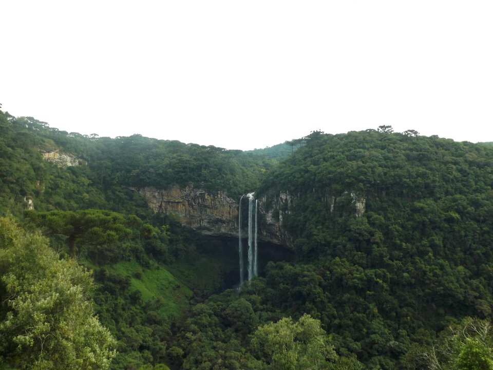 Brazil waterfall tropical forest