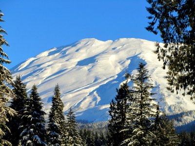 Mt. St. Helens in Washington