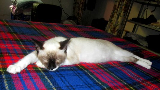 Imagem 034