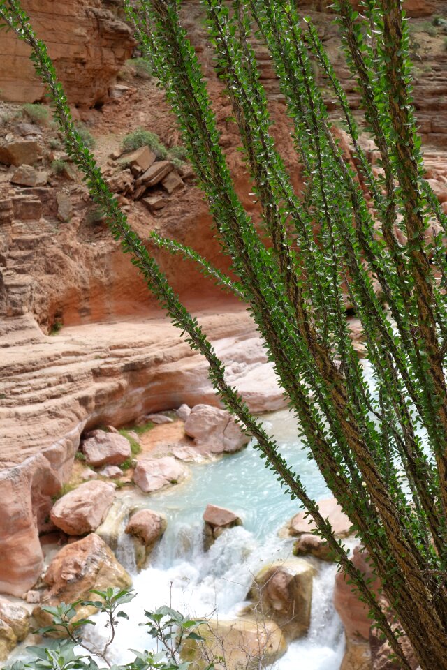 Desert scenic outdoors