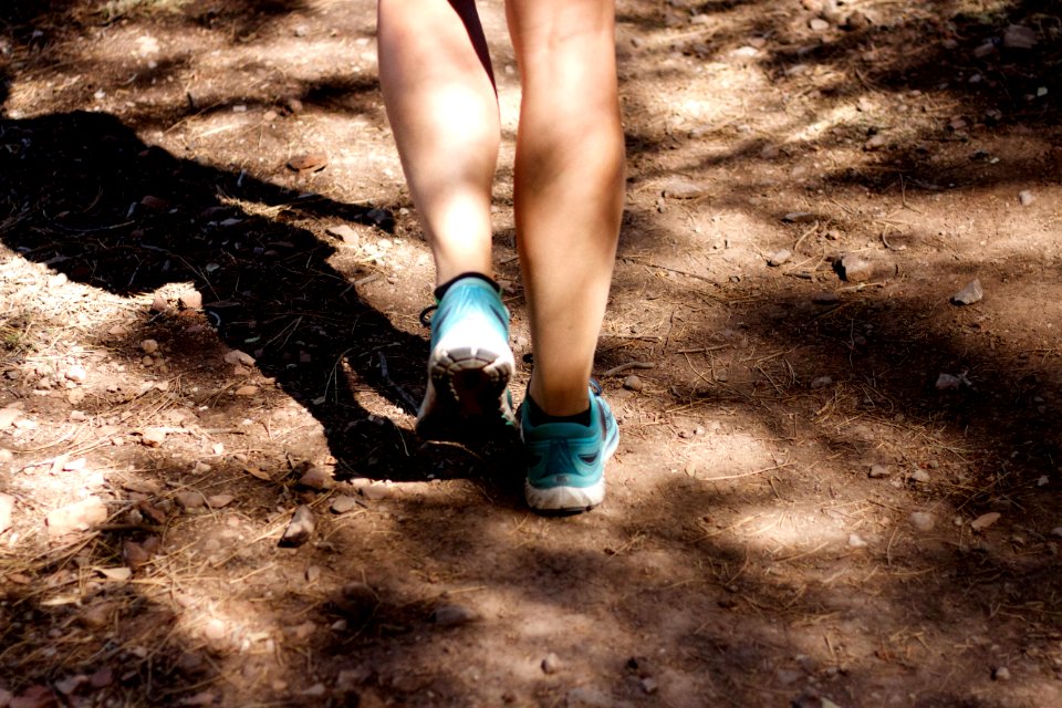 Pine Trail Run Photoshoot
