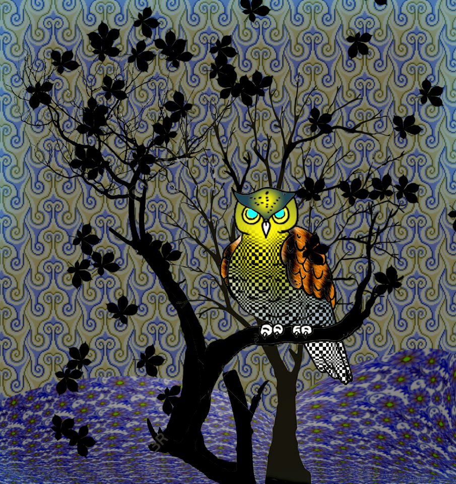 Owl