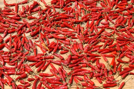 Chili peppers eat pepperoni