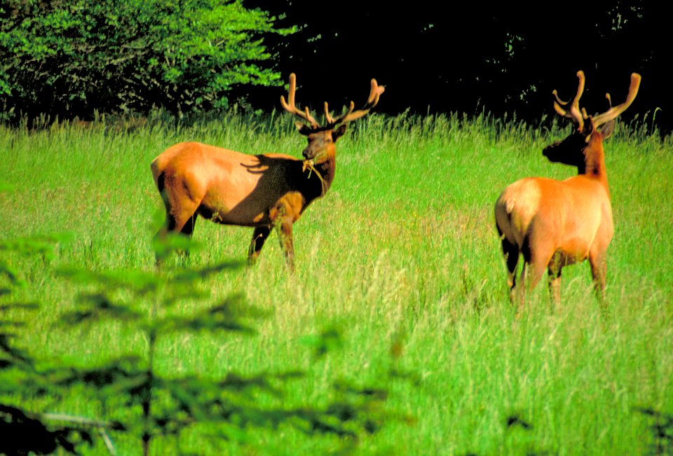 King Range National Conservation Area