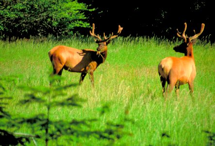 King Range National Conservation Area