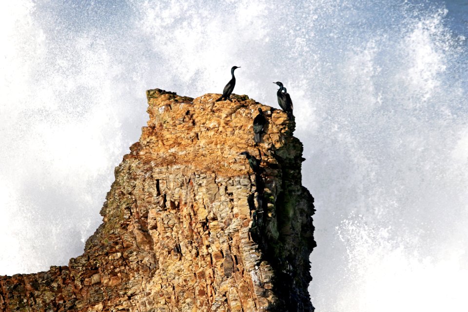 Point Arena-Stornetta unit of the California Coastal National Monument