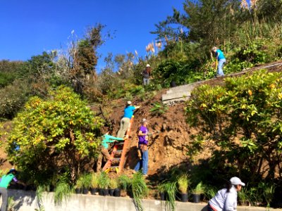 #NPLD 2017: Planting Native Plants