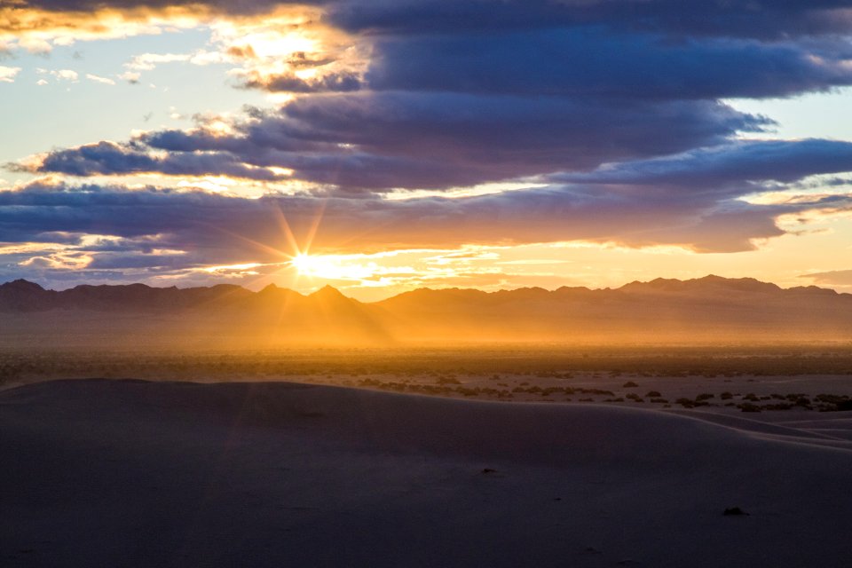 Cadiz Dunes Wilderness