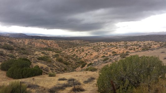Carrizo Plain National Monument
