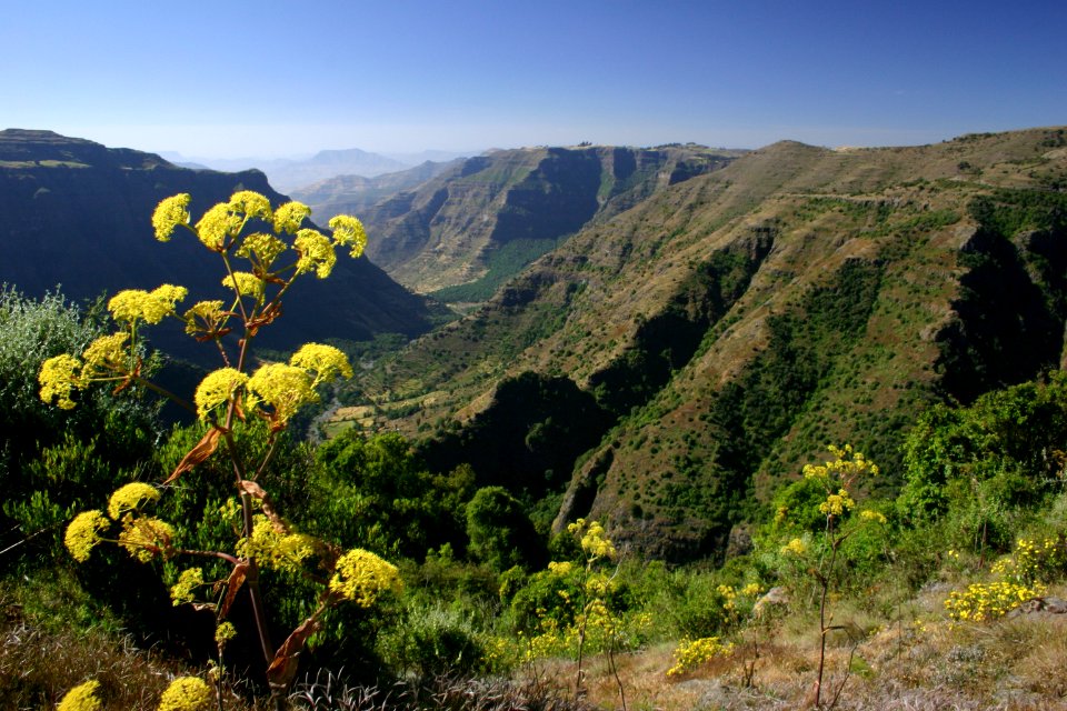Simien Mountains National Park, Ethiopia