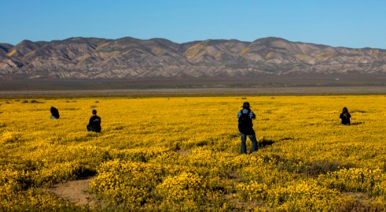 Carrizo Plain National Monument