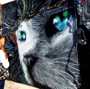 Cat Mural SF