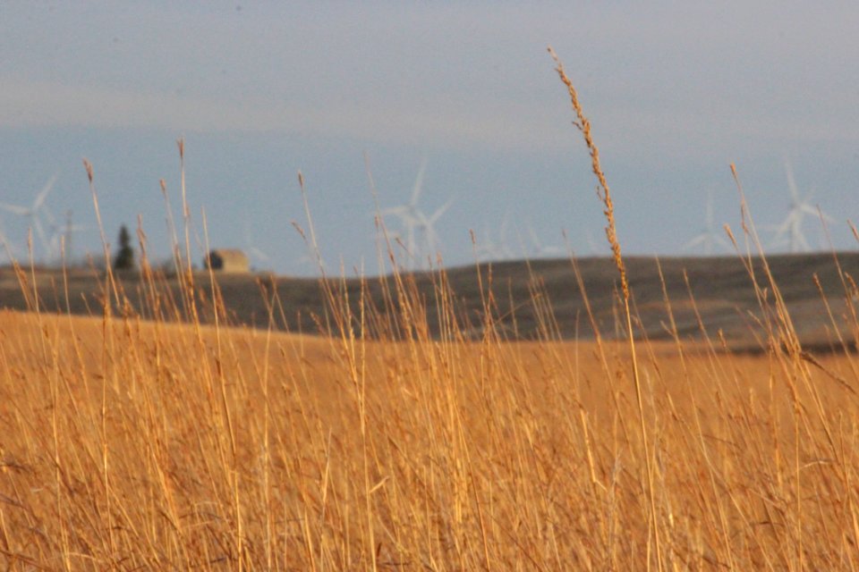 Gruneich Prairie in Fall