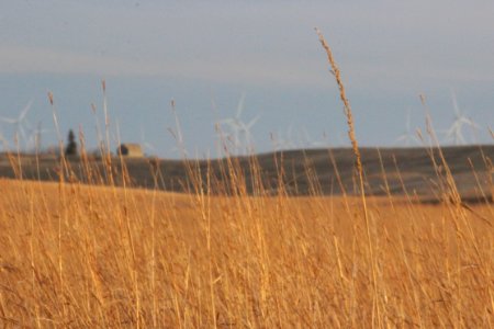 Gruneich Prairie in Fall photo