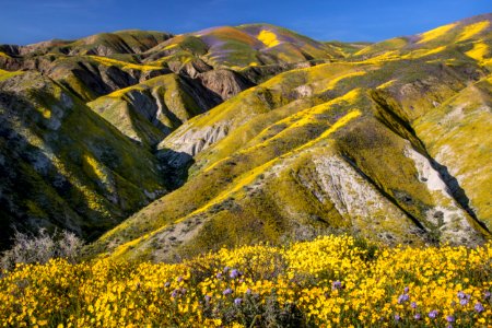 Carrizo Plain National Monument