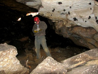 2007 Winter survey (pre-WNS), Crawford Co.,IN, A.King