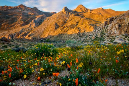 Owens Peak Wilderness photo