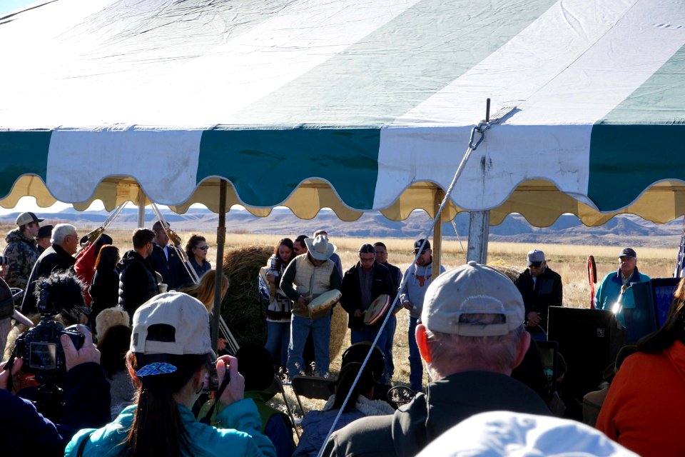 Bison Release 5