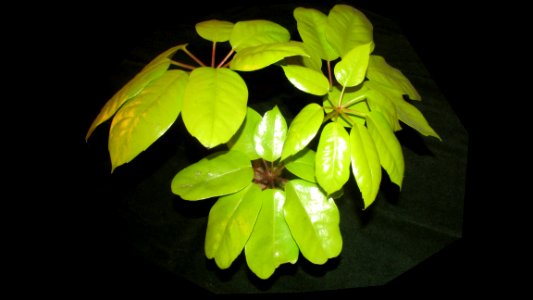 Imagem 061