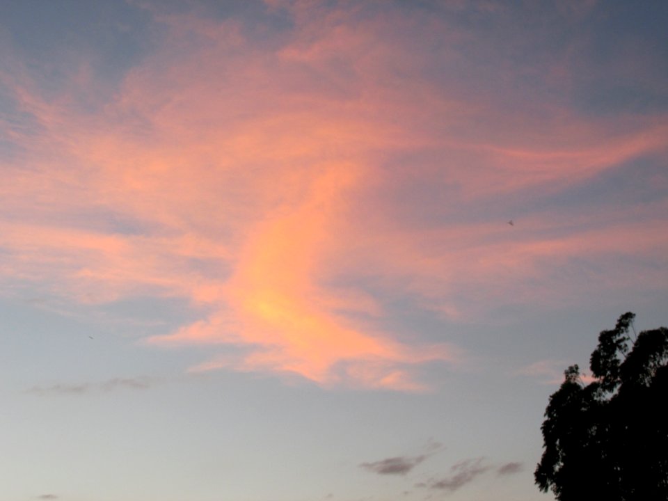 Imagem 018