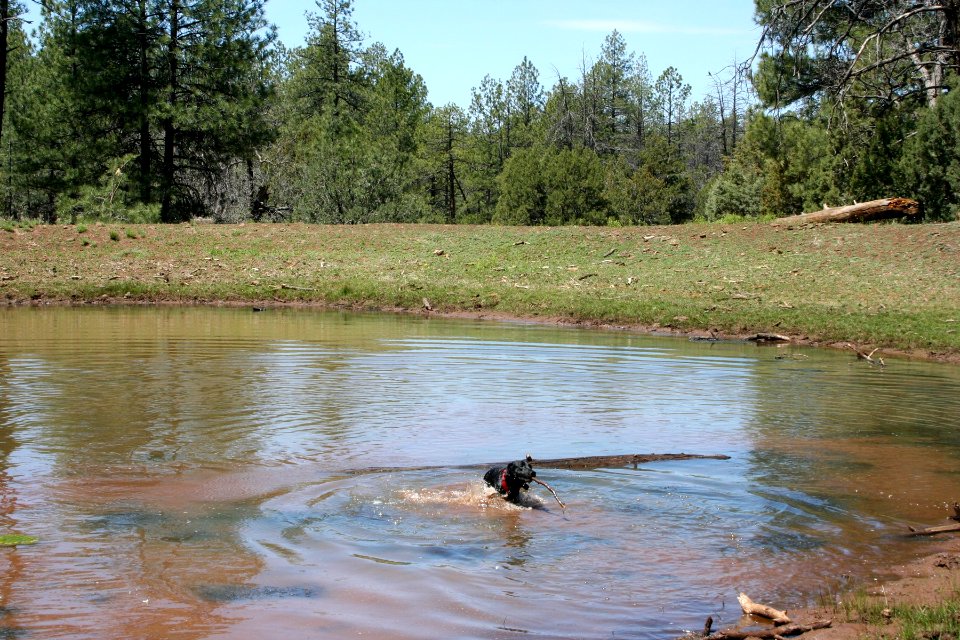 Found Me a Mudhole!