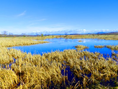 Sacramento River Bend Outstanding Natural Area