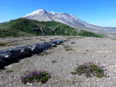 Windy Ridge at Mt. St. Helens NM in Washington