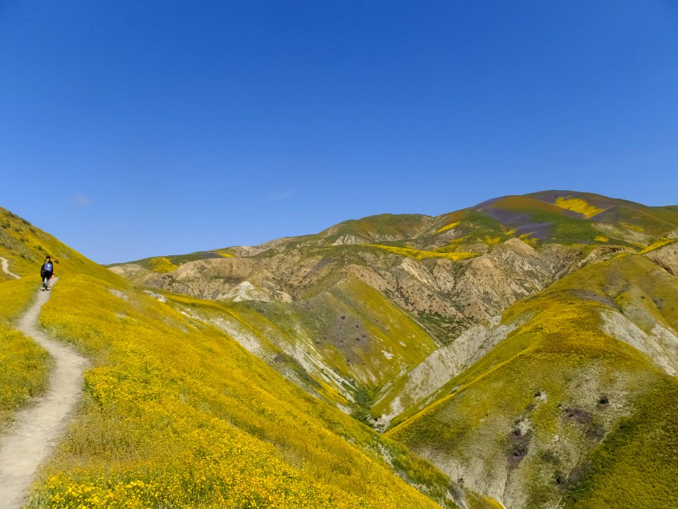 Hiking Ridgeline in Carrizo Plain National Monument in Bakersfield Field Office
