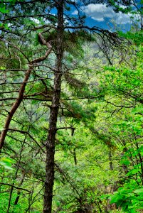 Bukhansan National Park