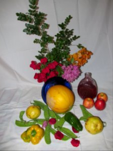 Imagem 047