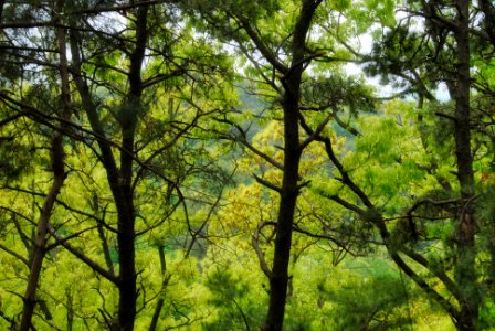 Bukhansan National Park
