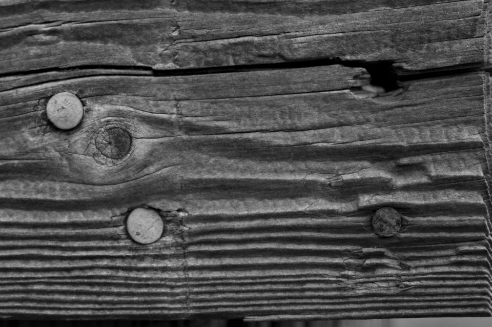 Rustic Wood