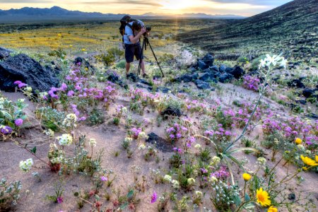 Amboy Crater photo