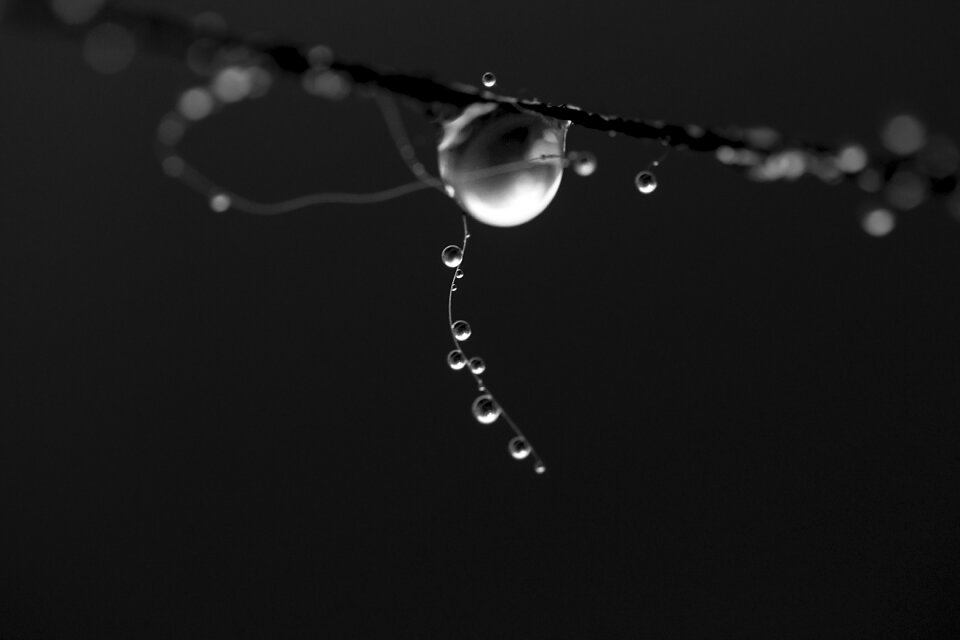 Wet pearl a drop of water