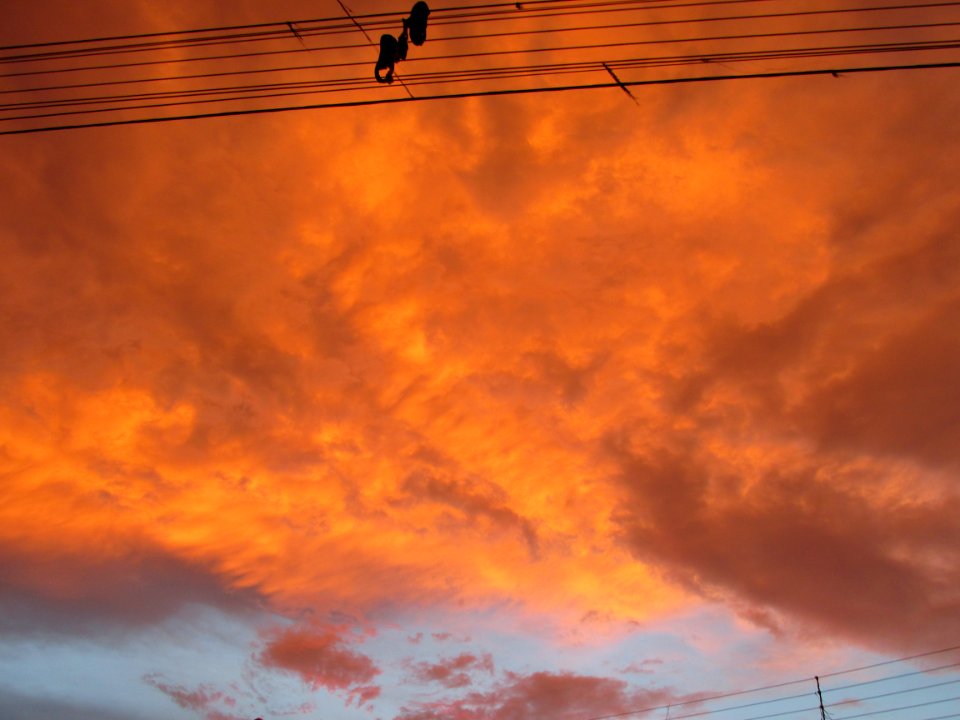 Imagem 012