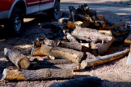 Today's Wood Haul