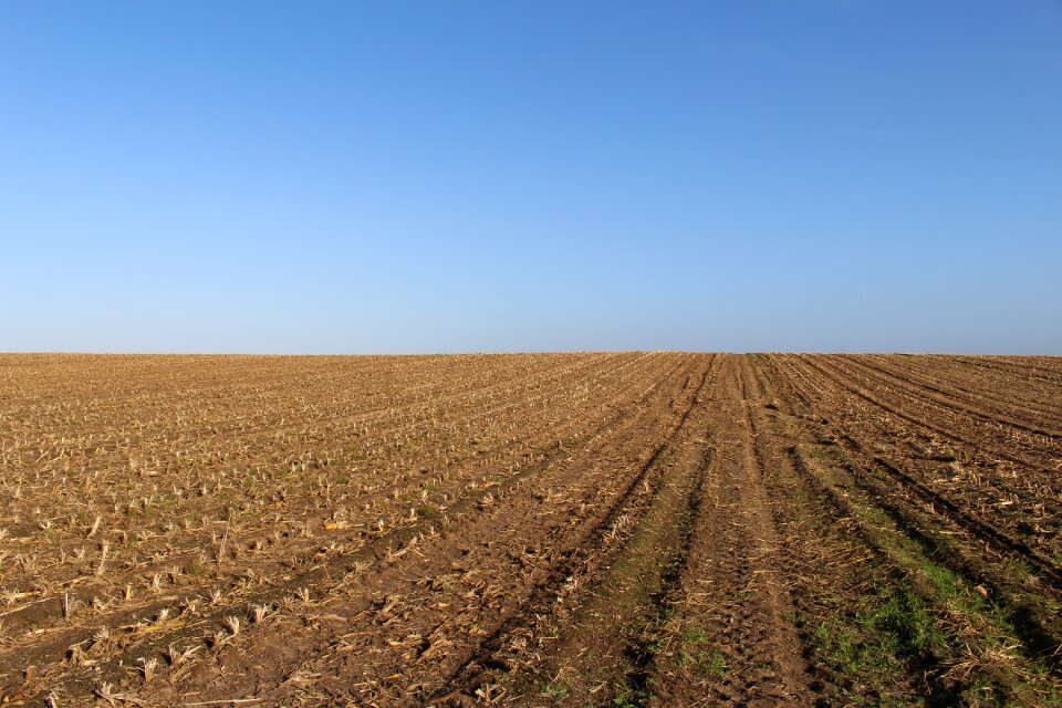 Field arable nature