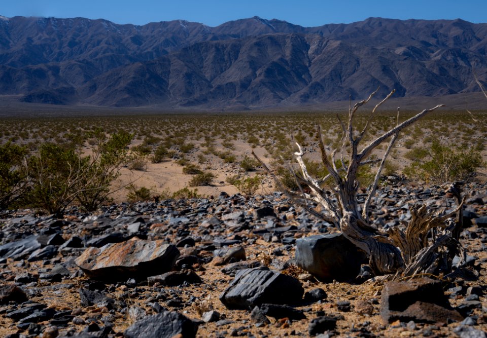 Argus Range photo