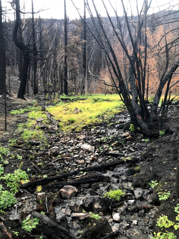 Eagle Fire in the Applegate Field Office