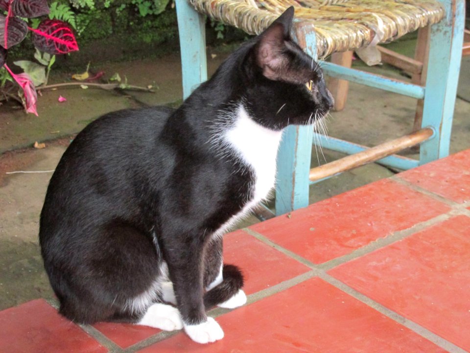 Imagem 035