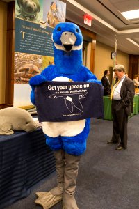 2017 Refuge Expo on Capitol Hill