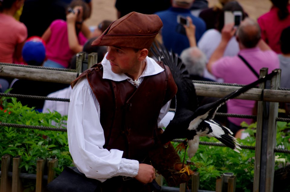 fauconnier du puy du fou