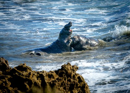 WINNER: California Coastal NM, Bakersfield Field Office photo